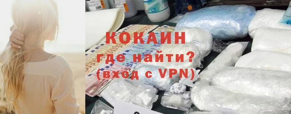 ПСИЛОЦИБИНОВЫЕ ГРИБЫ Гусев
