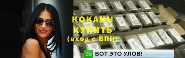 мет Дмитриев
