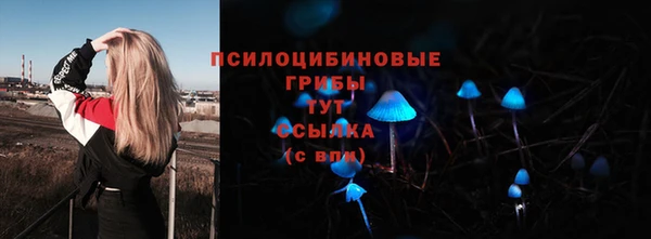 твердый Гусь-Хрустальный