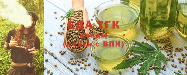 ПСИЛОЦИБИНОВЫЕ ГРИБЫ Гусев