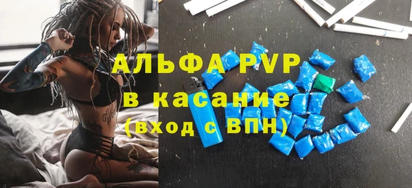 ПСИЛОЦИБИНОВЫЕ ГРИБЫ Гусев