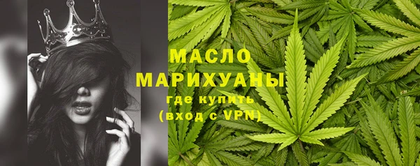 твердый Гусь-Хрустальный