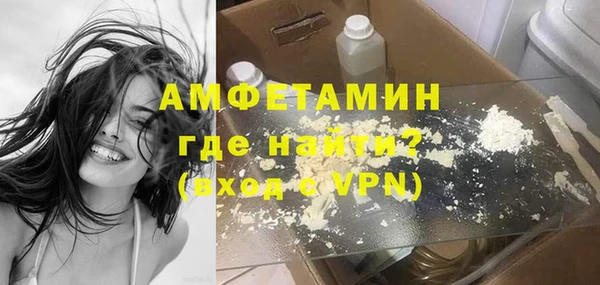 мет Дмитриев