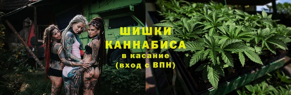 твердый Гусь-Хрустальный