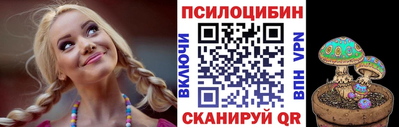 Купить где  Зеленогорск  Псилоцибиновые грибы Psilocybine cubensis 
