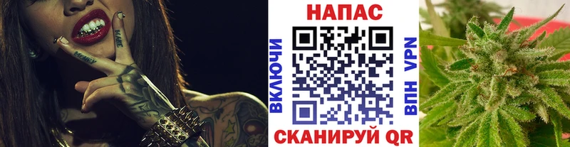 Купить закладки  Зеленогорск  МАРИХУАНА конопля 